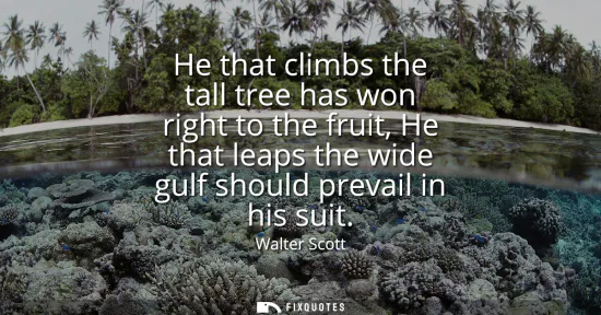 Small: He that climbs the tall tree has won right to the fruit, He that leaps the wide gulf should prevail in his sui