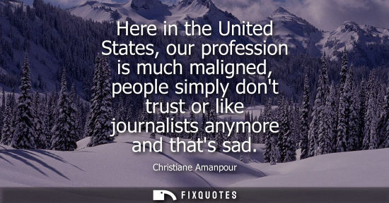 Small: Here in the United States, our profession is much maligned, people simply dont trust or like journalist