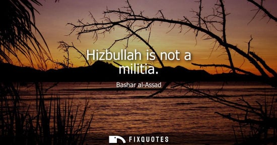 Small: Hizbullah is not a militia