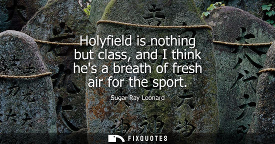 Small: Holyfield is nothing but class, and I think hes a breath of fresh air for the sport
