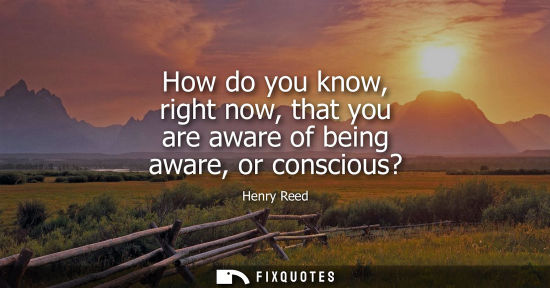 Small: How do you know, right now, that you are aware of being aware, or conscious?
