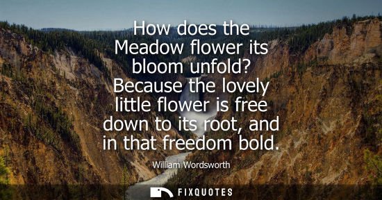Small: How does the Meadow flower its bloom unfold? Because the lovely little flower is free down to its root,
