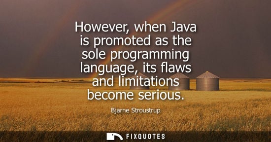 Small: However, when Java is promoted as the sole programming language, its flaws and limitations become serious