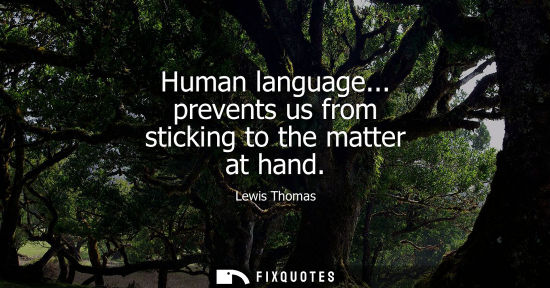 Small: Human language... prevents us from sticking to the matter at hand