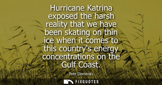 Small: Pete Domenici: Hurricane Katrina exposed the harsh reality that we have been skating on thin ice when it comes