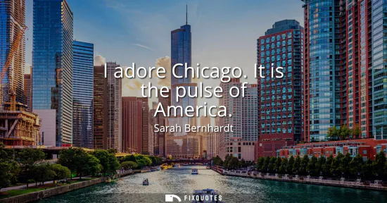 Small: I adore Chicago. It is the pulse of America
