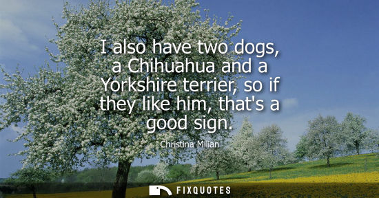 Small: I also have two dogs, a Chihuahua and a Yorkshire terrier, so if they like him, thats a good sign