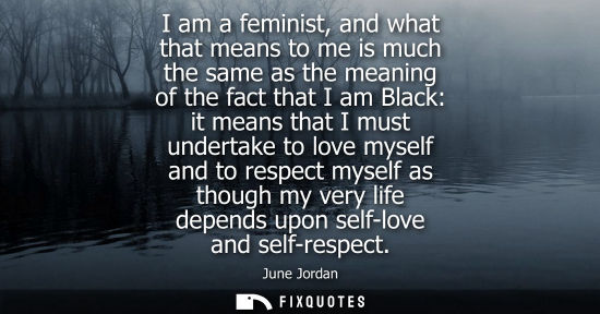 Small: I am a feminist, and what that means to me is much the same as the meaning of the fact that I am Black:
