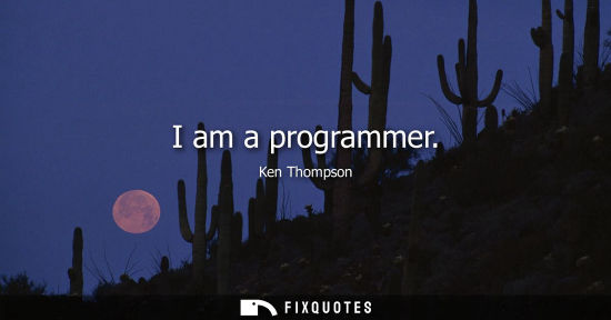 Small: I am a programmer
