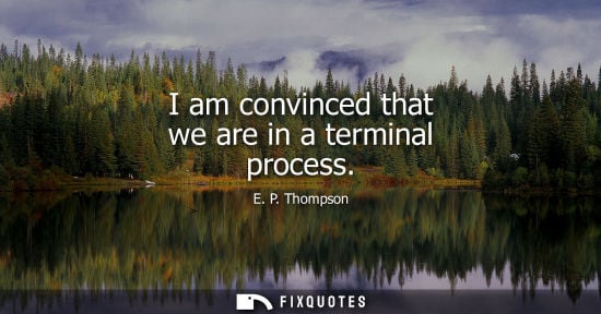 Small: I am convinced that we are in a terminal process