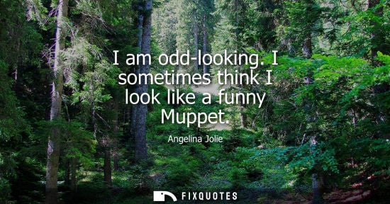 Small: I am odd-looking. I sometimes think I look like a funny Muppet