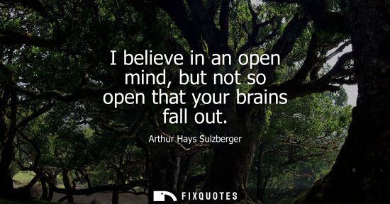Small: I believe in an open mind, but not so open that your brains fall out