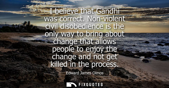 Small: I believe that Gandhi was correct. Non-violent civil disobedience is the only way to bring about change