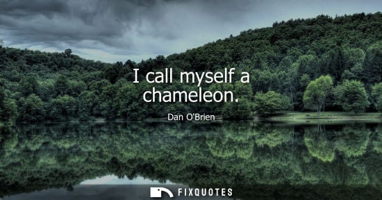 Small: I call myself a chameleon