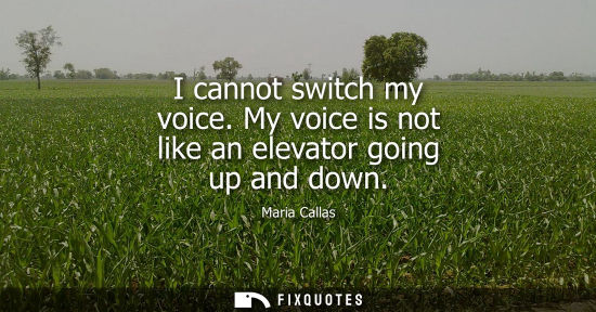 Small: I cannot switch my voice. My voice is not like an elevator going up and down