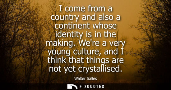 Small: I come from a country and also a continent whose identity is in the making. Were a very young culture, 