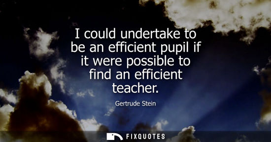 Small: I could undertake to be an efficient pupil if it were possible to find an efficient teacher - Gertrude Stein