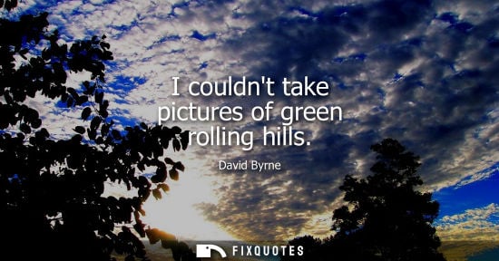 Small: David Byrne: I couldnt take pictures of green rolling hills