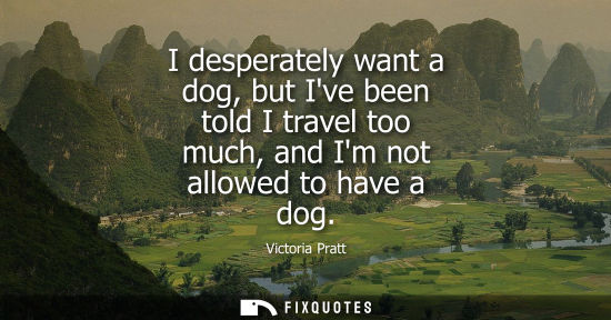 Small: I desperately want a dog, but Ive been told I travel too much, and Im not allowed to have a dog