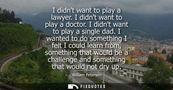 Small: I didnt want to play a lawyer. I didnt want to play a doctor. I didnt want to play a single dad.