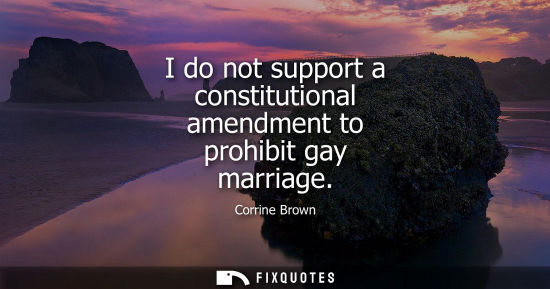 Small: I do not support a constitutional amendment to prohibit gay marriage