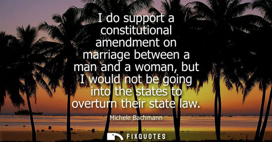 Small: I do support a constitutional amendment on marriage between a man and a woman, but I would not be going