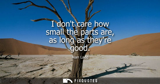Small: I dont care how small the parts are, as long as theyre good