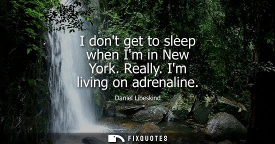 Small: I dont get to sleep when Im in New York. Really. Im living on adrenaline - Daniel Libeskind