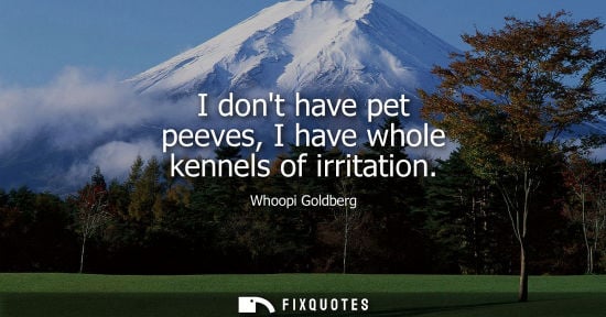 Small: I dont have pet peeves, I have whole kennels of irritation