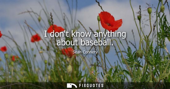 Small: I dont know anything about baseball