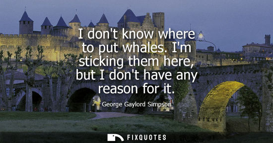 Small: I dont know where to put whales. Im sticking them here, but I dont have any reason for it