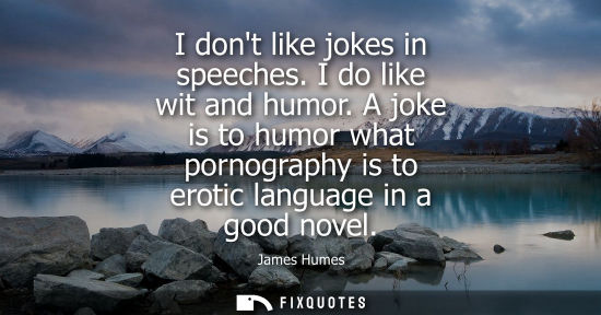 Small: I dont like jokes in speeches. I do like wit and humor. A joke is to humor what pornography is to eroti