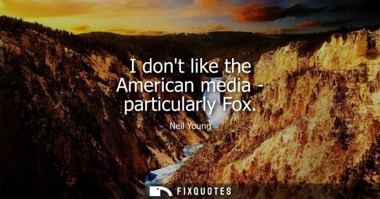 Small: I dont like the American media - particularly Fox