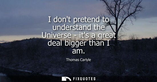 Small: I dont pretend to understand the Universe - its a great deal bigger than I am