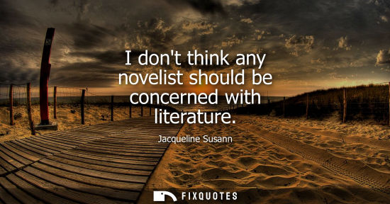 Small: I dont think any novelist should be concerned with literature