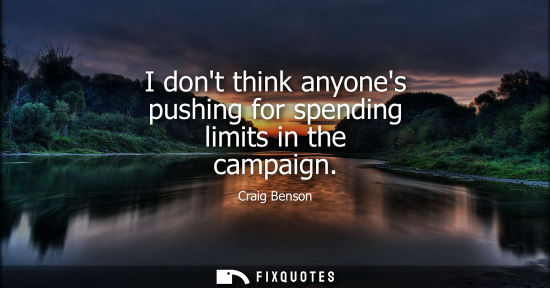 Small: I dont think anyones pushing for spending limits in the campaign
