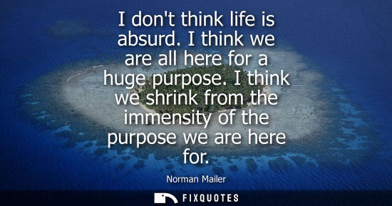 Small: I dont think life is absurd. I think we are all here for a huge purpose. I think we shrink from the imm