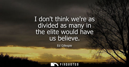 Small: I dont think were as divided as many in the elite would have us believe