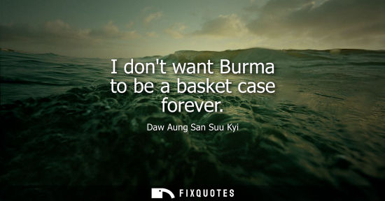 Small: I dont want Burma to be a basket case forever