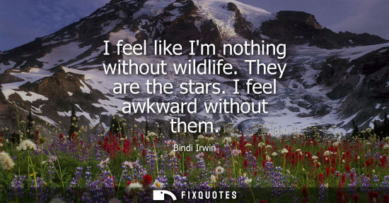 Small: I feel like Im nothing without wildlife. They are the stars. I feel awkward without them