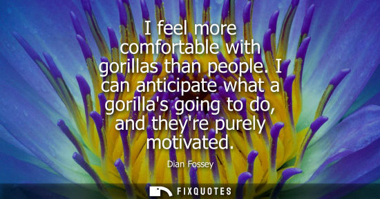 Small: I feel more comfortable with gorillas than people. I can anticipate what a gorillas going to do, and th