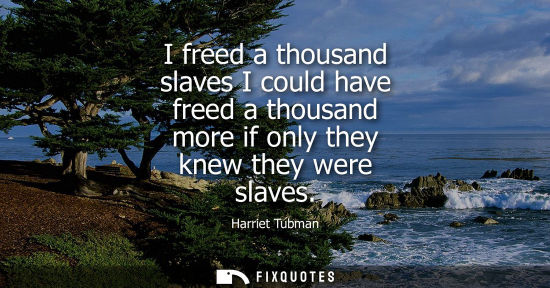Small: I freed a thousand slaves I could have freed a thousand more if only they knew they were slaves - Harriet Tubm
