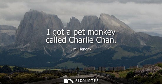 Small: Jimi Hendrix: I got a pet monkey called Charlie Chan
