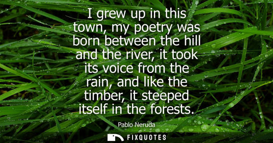 Small: I grew up in this town, my poetry was born between the hill and the river, it took its voice from the rain, an