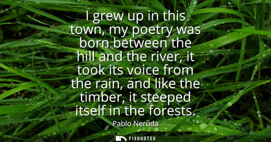 Small: I grew up in this town, my poetry was born between the hill and the river, it took its voice from the rain, an