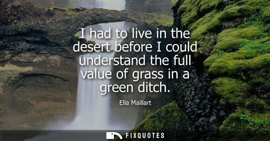 Small: I had to live in the desert before I could understand the full value of grass in a green ditch