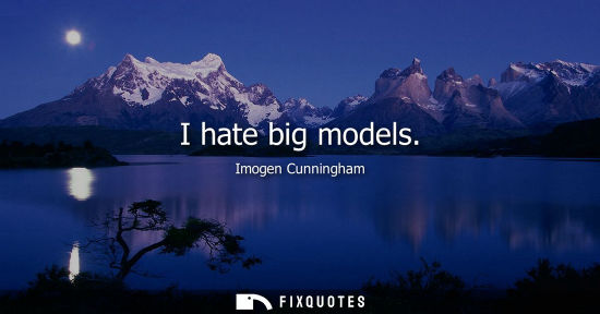 Small: I hate big models