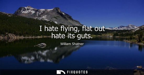 Small: I hate flying, flat out hate its guts