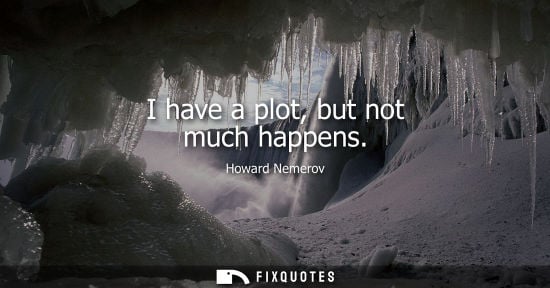 Small: Howard Nemerov: I have a plot, but not much happens