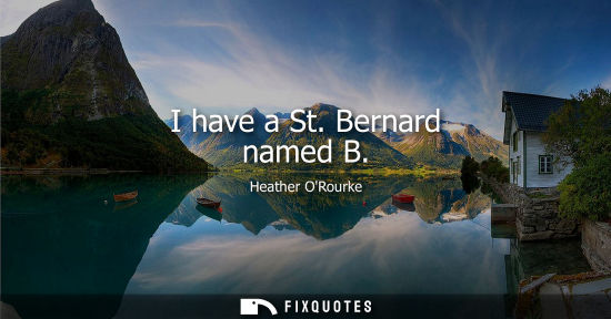 Small: I have a St. Bernard named B